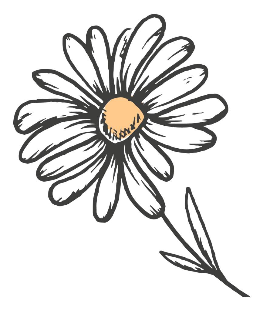 DaisyChain_SingleDaisy_Colour